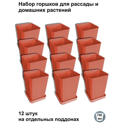 ���� ������ ��� ������� � ������, 12 ���� �� ��������� ��������, �������� ������ ������