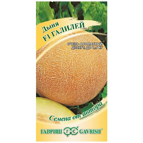 ���� ������ ���� ������� F1, 15��, ������, ������ �� ������ ������ ������