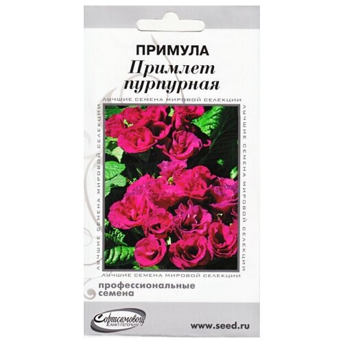 ���� ������� �������, ���������, 4 ����� ������ ������