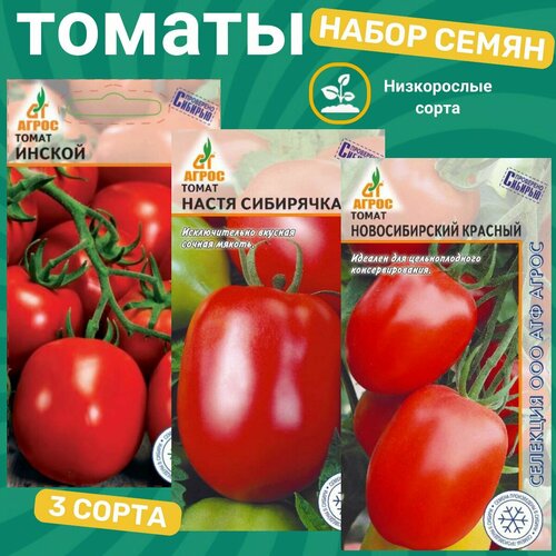 ���� ����� ����� ����������� ������� / ������������� ������� , ����� ���������, ������ ������ ������