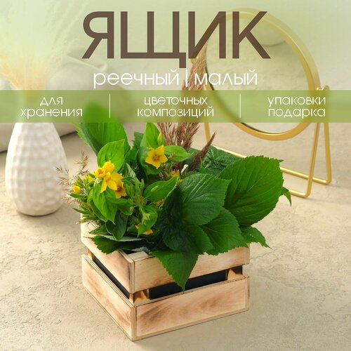 ���� ���� ������� / ����� ��� ������ / ������� ��� �������� � ������� ������ ������