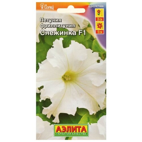 ���� ������ ������ ����������� �������� F1 ��������������� �����������, 10 �� ������ ������