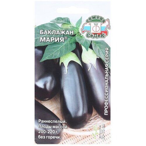 ���� ������ ���������� 