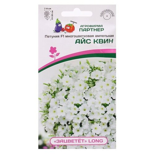 ���� ������ ������� �������������� ��������� 