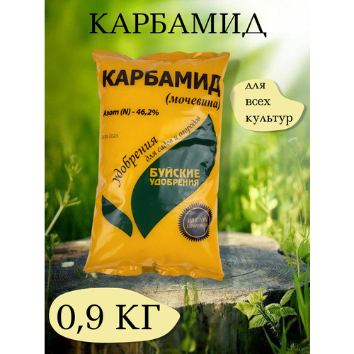 ���� ��������� ��������, 0,9 ��. - 1 �������� ������� ��������� ������ ������