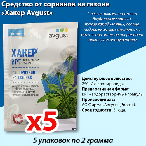       2, Avgust 5    -     , -, 