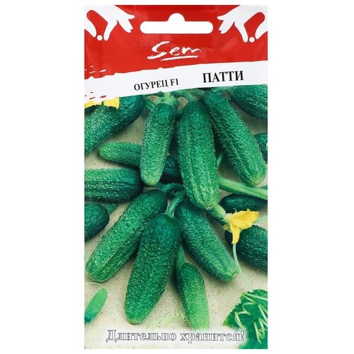 ���� ������ ������� ������ ������ ����� F1 10 ��. ������ ������