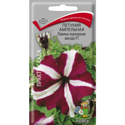 ���� ������ ������� ������ ��������� ������ F1 ��������� 10�� ��� (�����) ������ ������