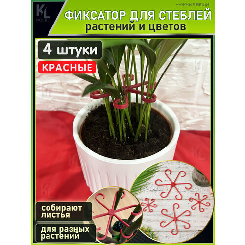 ���� KoLeli / ������ ����� ��� ����� ������� �������� / ������ ��� ��������� � �������� ������� � �����, ������� ������ ������