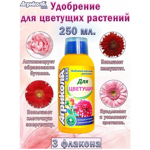 ���� ��������� �������� ���� ��� �������� �������� 250 ��, 3 ������� ������ ������