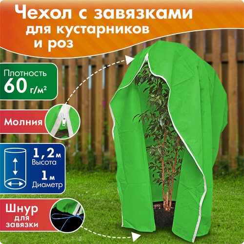 ���� ����� ��� ����������� � ��� �� ������, ������ 1,2 �, ������� 1 � ������ ������