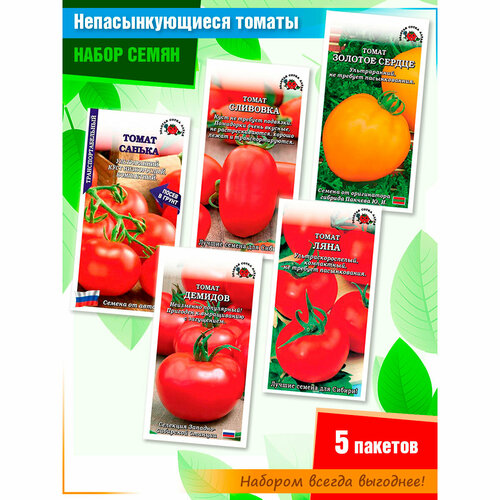 ���� ����� ����� ��������������� ������� 