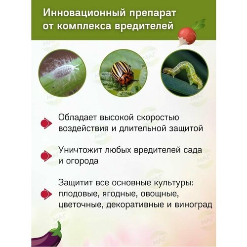 ���� �������� ��� ������ �������� �� ���������� Avgust ��������� 10 �� ������ ������