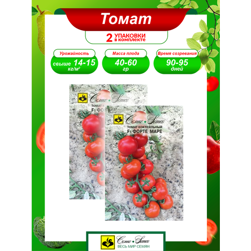 ���� ������ ����� ����� ���� F1 ����������� 10 ��./��. � 2 ��. ������ ������