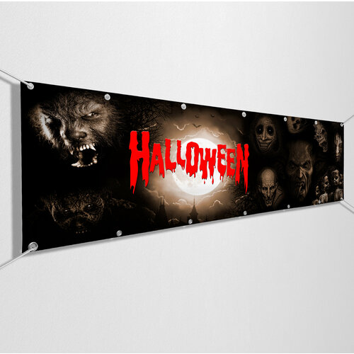 ���� ������ �� �������� / �������� ��� ���������� ��������� �������� / 10x0.7 �. ������ ������