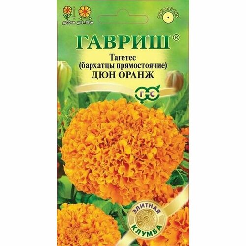 ���� ������ �������� ��� �����, ��, ����������, (������) 10�� ���� �15 ������ ������