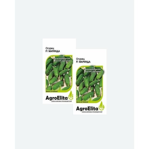     F1, 5, AgroElita, Seminis(2 )   -     , -, 