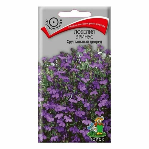 ���� ������ ����� ������� ������ ����������� ������ 0.1 � ������ ������