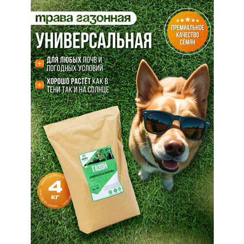 ���� �������� �����, ������, ������������� ����������, 4 �� ������ ������