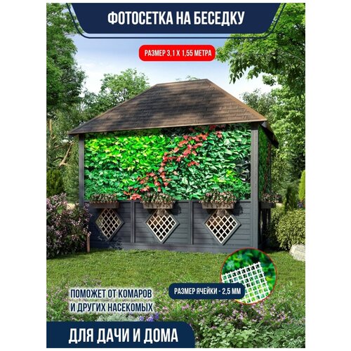       FOTOSETKA40   -     , -, 