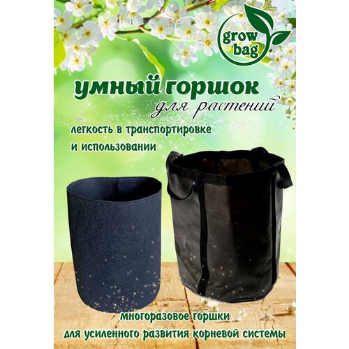 ���� ����� ������ (�������) 10 � / �����������, ������ ��� ����������� �������� / ������� ������ ������