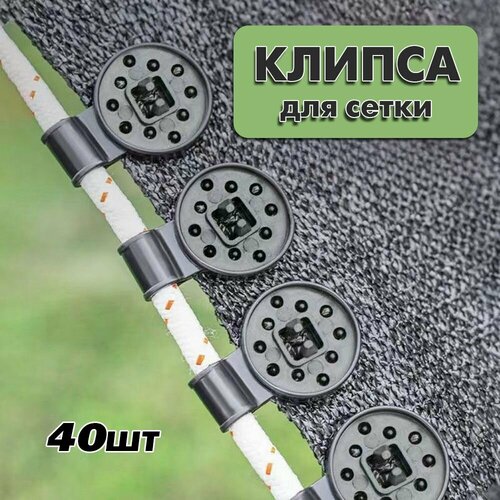 ���� ������ ��� ��������� ����� �������, ������. 40��. ������ ������