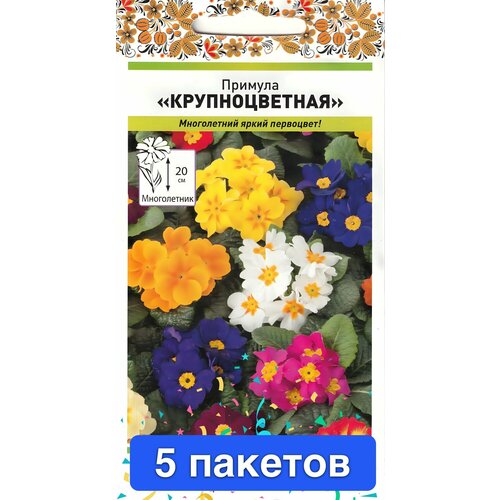 ���� ����� ������� ������������� 5 ������� ������ ������