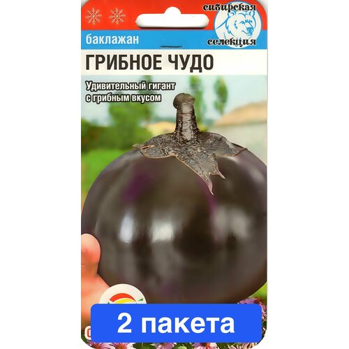 ���� ������ ������ ��������� ��� 