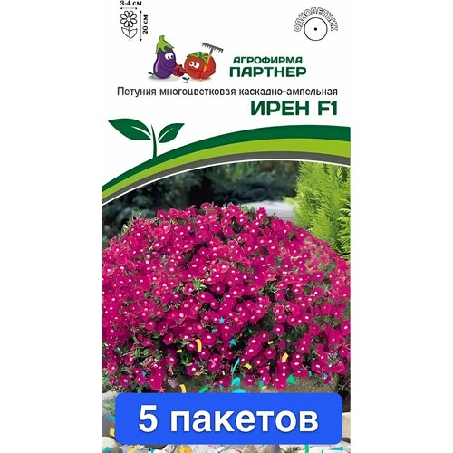 ���� ����� ������� ������ ���� F1 5 ������� ������ ������