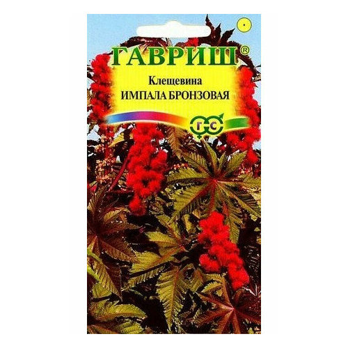 ���� ��������� ������ ��������� ������ ������