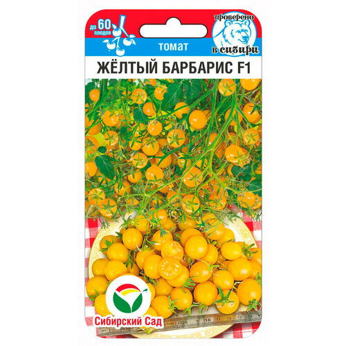 ���� ������ ����� ����� ������ �������� F1 15�� ����� ������ (��������� ���) ������ ������