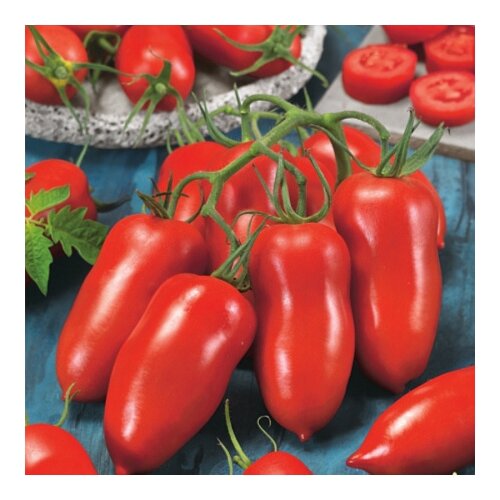 ���� ������ ���� ������ ����� ������ 3 �� ������ ������