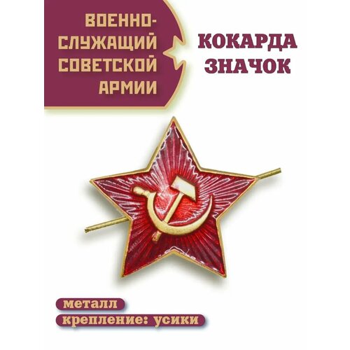 ���� ������� ���������� ����� ������ ������