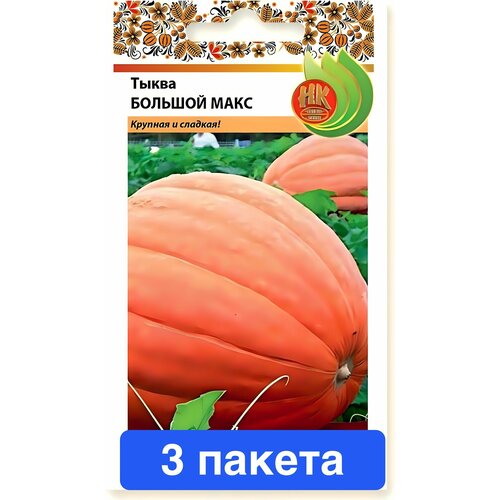 ���� ������ ������ ������� ������ 