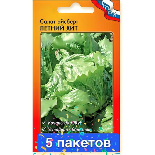 ���� ������ ������ ������� ������ 