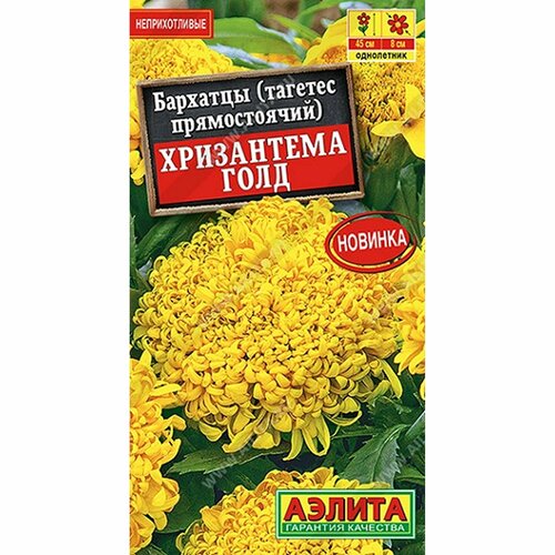 ���� ������ �������� ���������� ���� ����, ����������, (������) 0,1� ������ ������