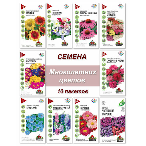 ���� ������, ����� ����� ����������� �����, ���������, �����, �������, ���������� � �� ������ ������