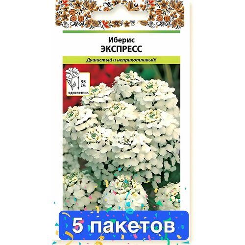 ���� ����� ������ �������� 5 ������� ������ ������