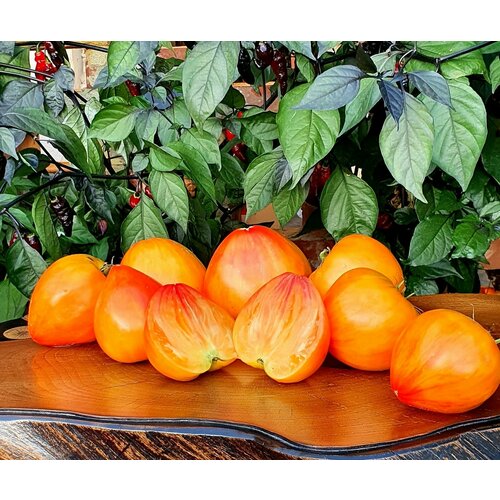 ���� ������ ������ ������ ������������� ���� (Arkansas Marvel Heart) / Seeds And Goods / � �������� zip-lock ��� ���������� 10 ����� ������ ������