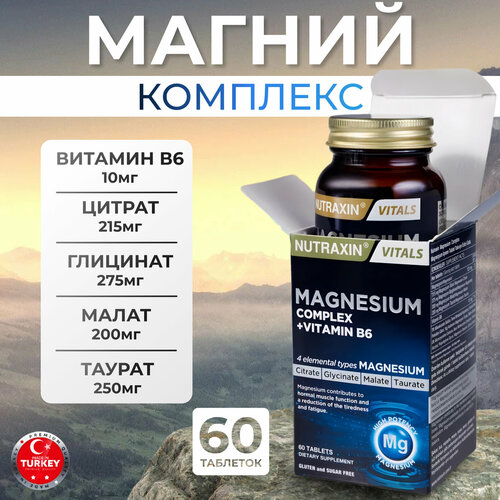 ���� ������ �6 ������ ����� ������ ����������� ������ ������ ������