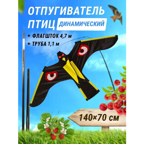 ���� ������������ ���� ������������ / �������� ��������� ���� ������ + �������� 4,7 � ������ ������