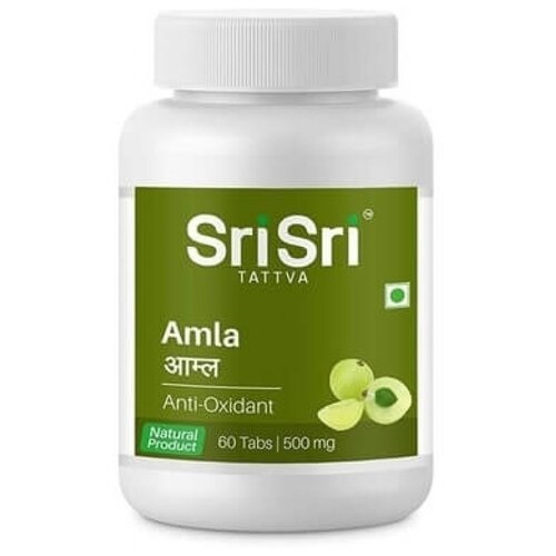 ���� Sri Sri Tattva Amla ���., 100 ��, 60 ��. ������ ������