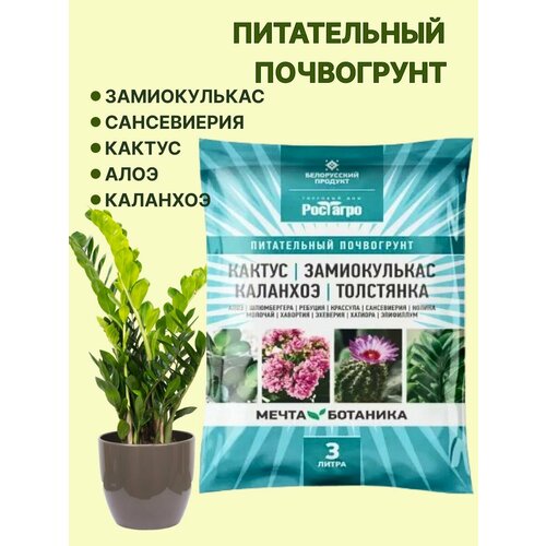 ���� ����� ��� ��������� ������������� �������� ������� ����� �������� 3 �. ������ ������