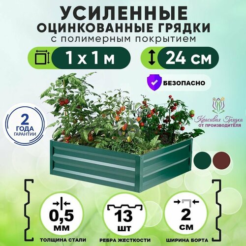 ���� ������ ������������ �� ���� � ���������� ��������� ��������� 1�1 ���� / ���������� ������������� ��� �������� � ������� � �������� ����� / ������ ��� ���� � ������� ������ ����� 24 �� ������ ������