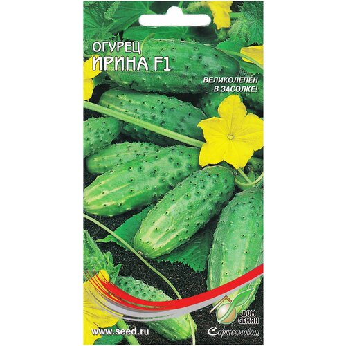 ���� ������ ����� F1, 10 ����� ������ ������