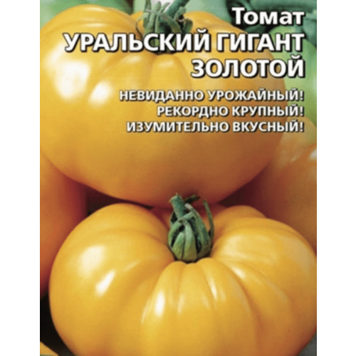 ���� ������ ����� ��������� ������ ������� 20�� ����� ������ (��������� ������) ������ ������