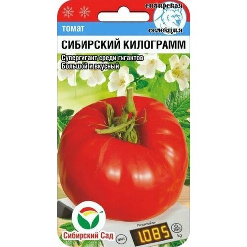 ���� ������ ����� ��������� ��������� 20�� ����� (��������� ���) ������ ������