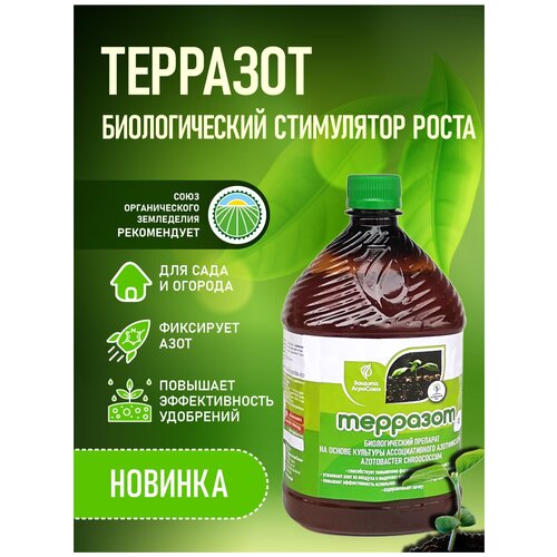 ���� ������������� ���������� ����� �� ������ �������������� ������������� Azotobacter chroococcum 