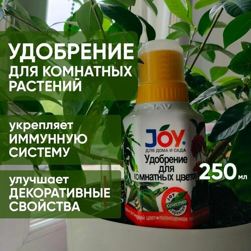       , JOY, 250    -     , -, 