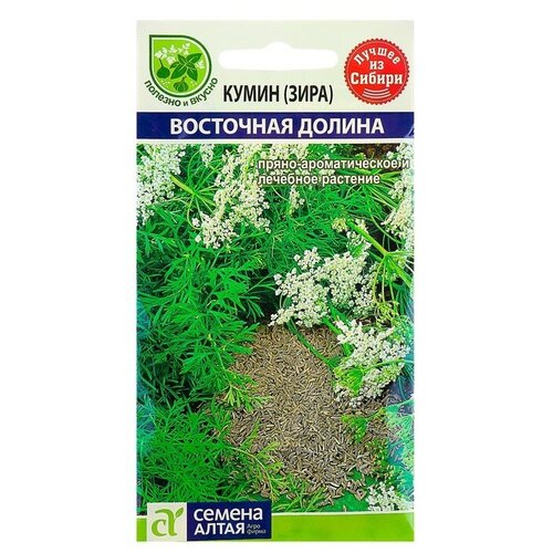 ���� ������ ����� (����) 